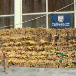 Quase 50 toneladas de maconha são encontradas em operação da PM na Maré com auxílio de cães farejadores