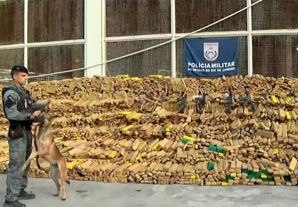 Quase 50 toneladas de maconha são encontradas em operação da PM na Maré com auxílio de cães farejadores